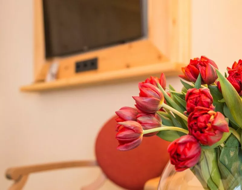 Blumendekoration & TV im Hotelzimmer mit Alpenblick in Oberbayern | Parkhotel Wallgau