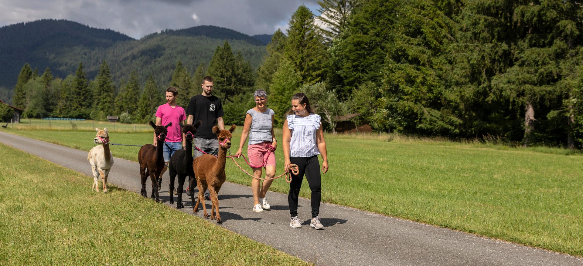 Familienausflug mit Alpakas in der Natur, idyllische Umgebung mit Bergen und Bäumen, ideal für einen unvergesslichen Tag.