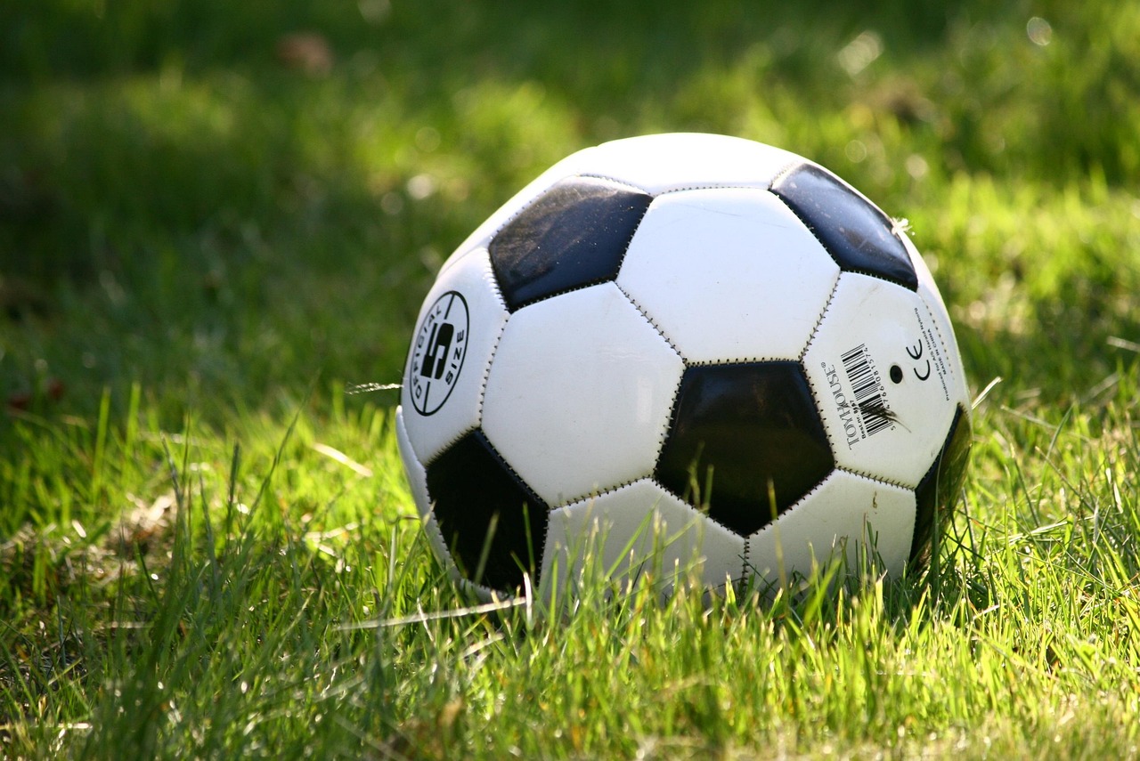 Ein Fußball aus Schwarz und Weiß liegt auf einer grünen Wiese, ideal für Spiele im Freien oder im Park.